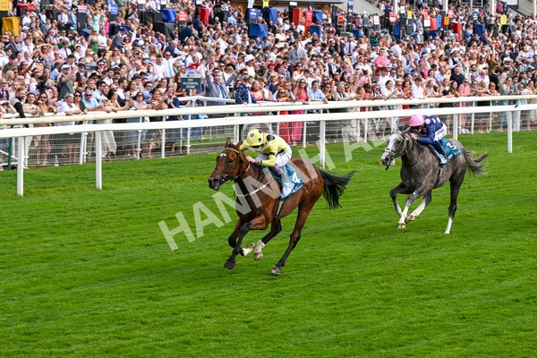 280625-Race 4-Hankelow-0514 - Race 4 3.40pm Al Basti Equiworld Dubai Novice Stakes