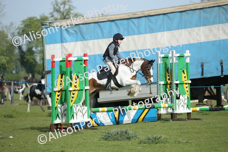 20260426-0189 - Class 13 - Rookie Jumping 50cm