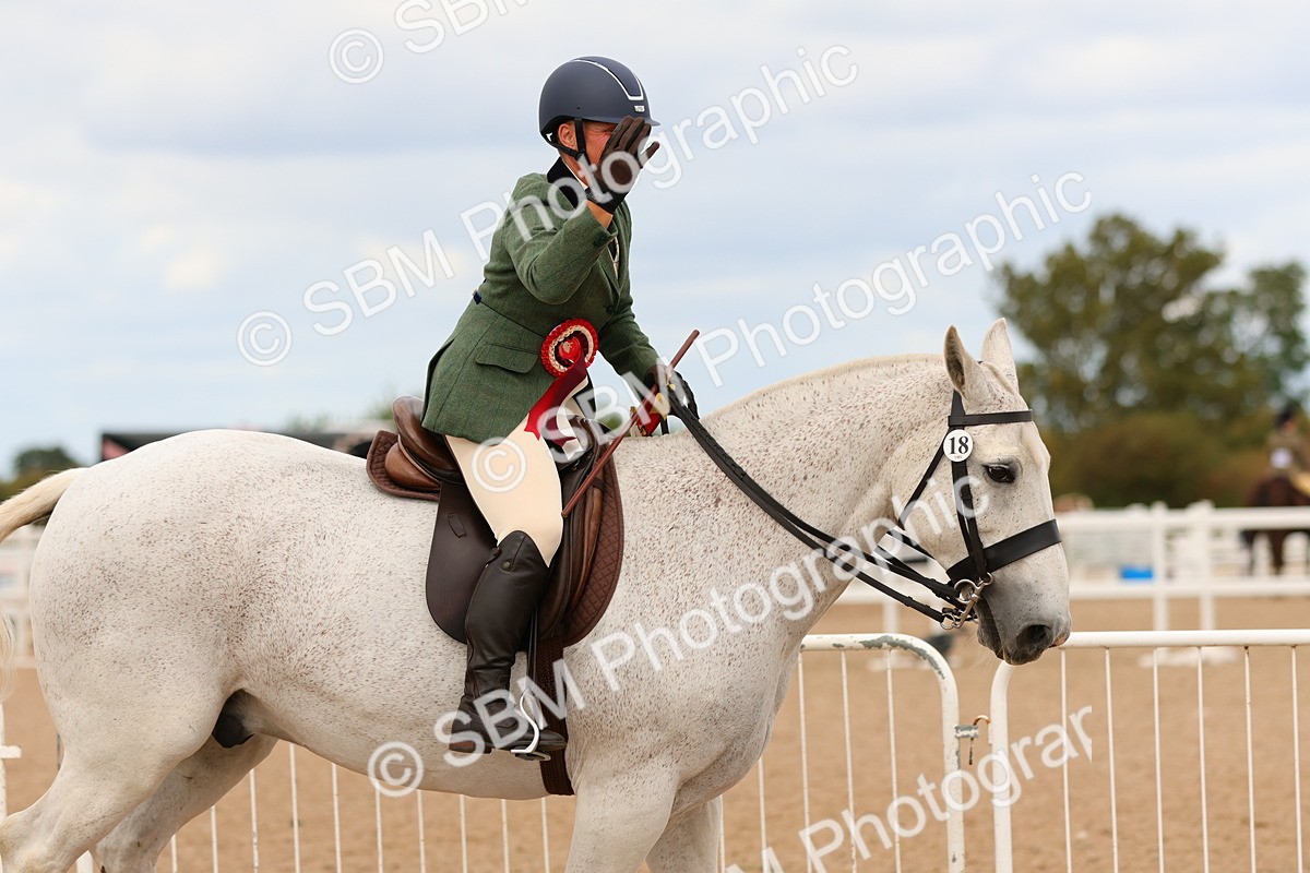 SBM_15621 - Class 214 - Ridden Show Cob