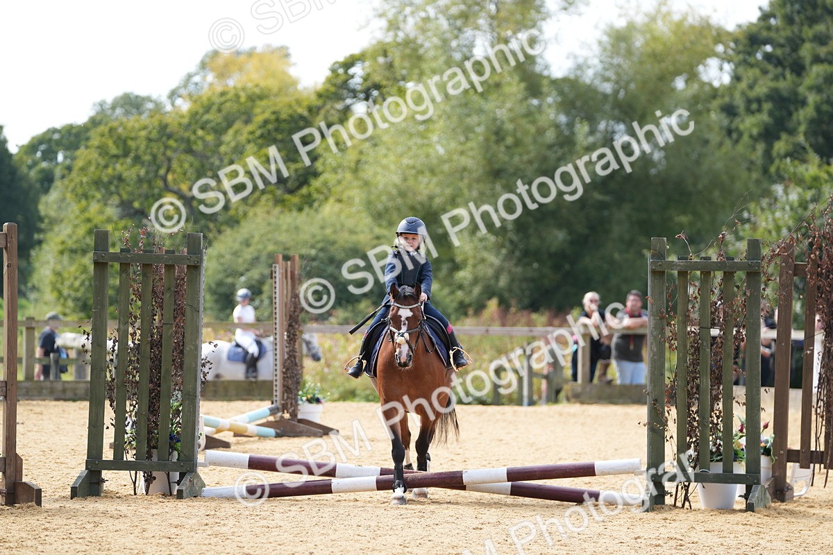 SBM_65778 - J2 - Mini Tour Junior Pony 30cm Championship