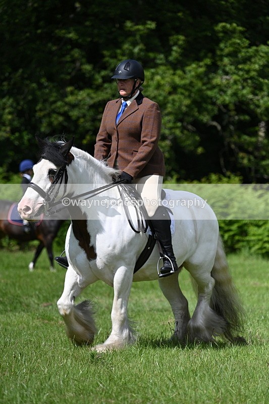 WJ7_1256 - Class 11 Condition & Turnout