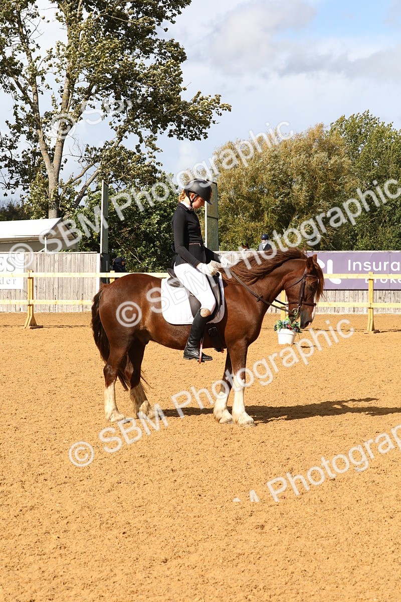 SBM_24411 - D5 - Small Tour Championshop Intro 2