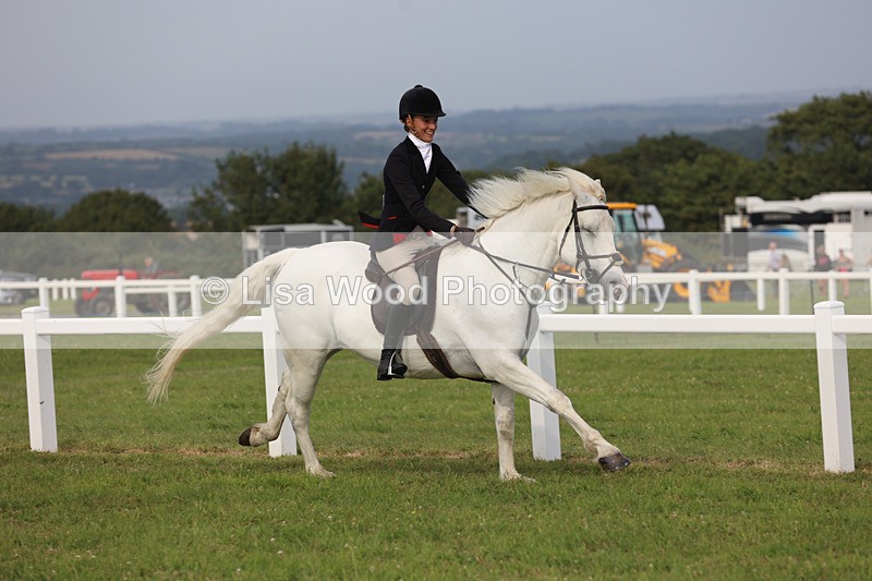 JPP_4733 - Working Hunter Championship