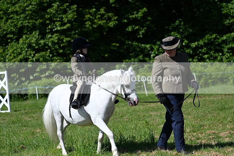 WJ7_0583 - Class 8 First Rally Pony