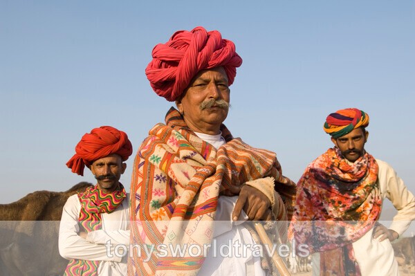 Rajasthani men  with turbans Pushkar , Rajasthan, India - India