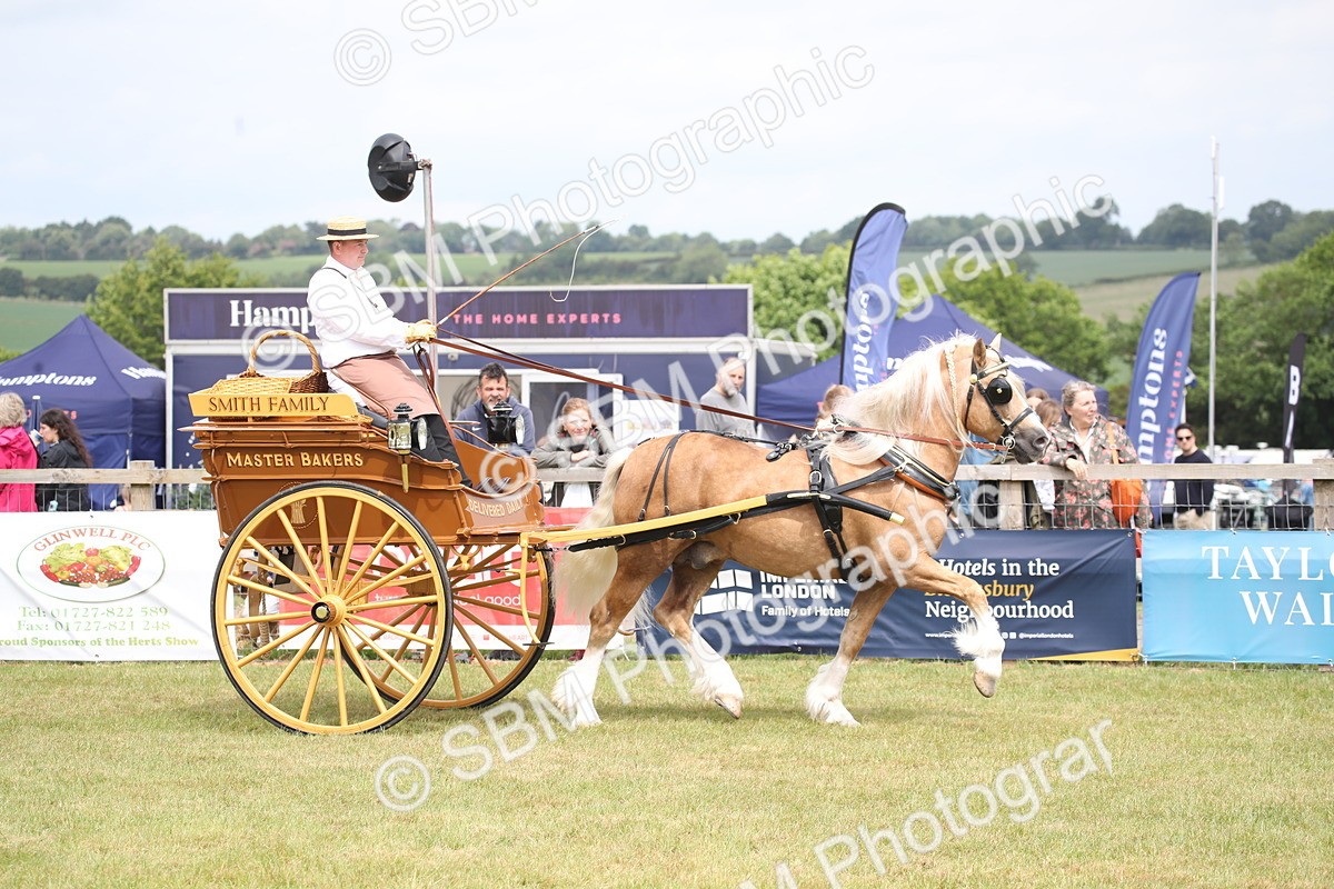 SBM_06975 - Class 16 - Light Trade