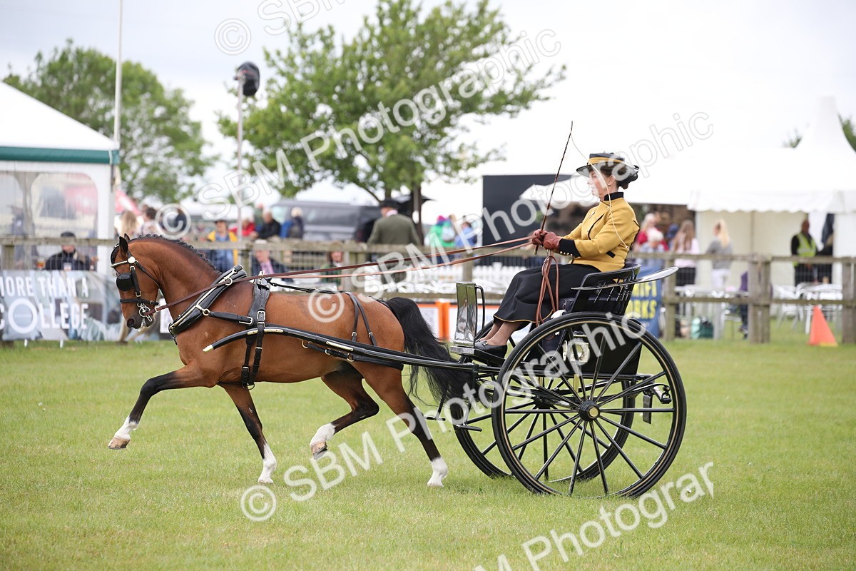 SBM_05843 - Class 12-15 - HOYS Private Driving