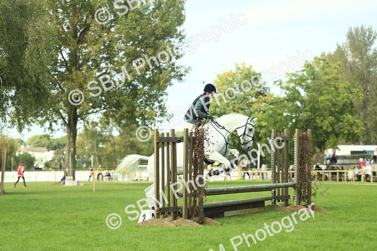 SBM_50583 - S33 - Working Hunter & Working Show Horse