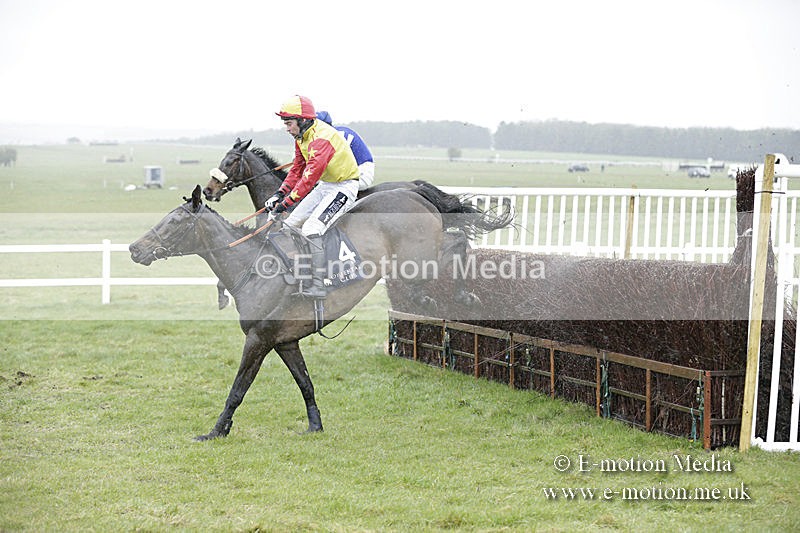 PtP 150320 0158 - New Forest Point-to-Point Larkhill 15/03/20