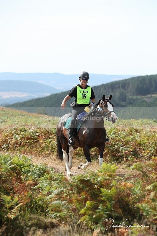 SPXX1646 - 19