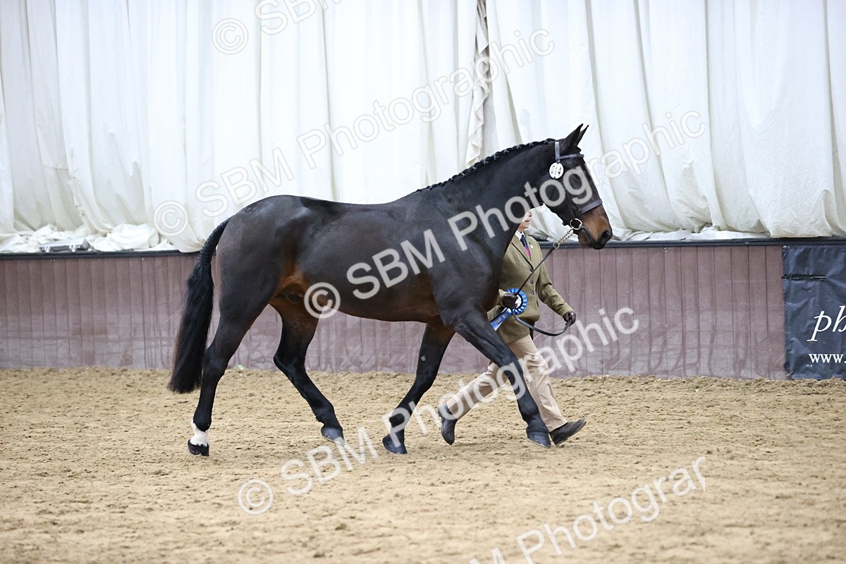 SBM_5706 - Class 40 - RESS In Hand Qualifier