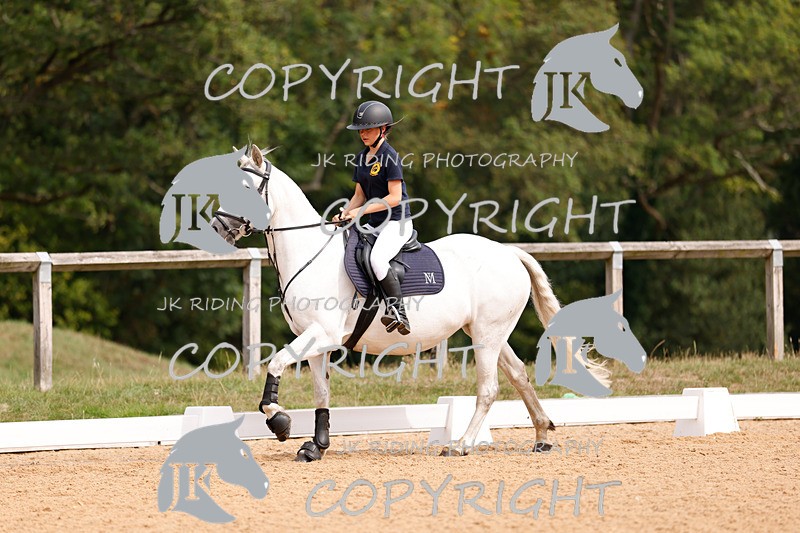 _R6A2441 - Dressage Morning