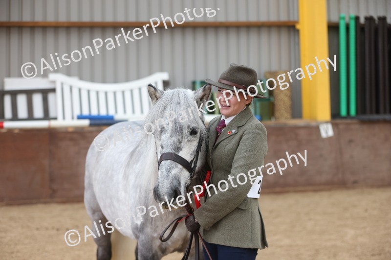 20251109-1044 - Class 28 - Mares 4 Years and over