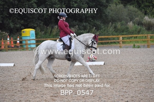 BPP_0547 - MFS PRELIM & NOV