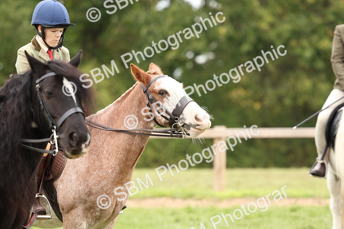 SBM_64647 - S58 - Coloured Pony Ridden