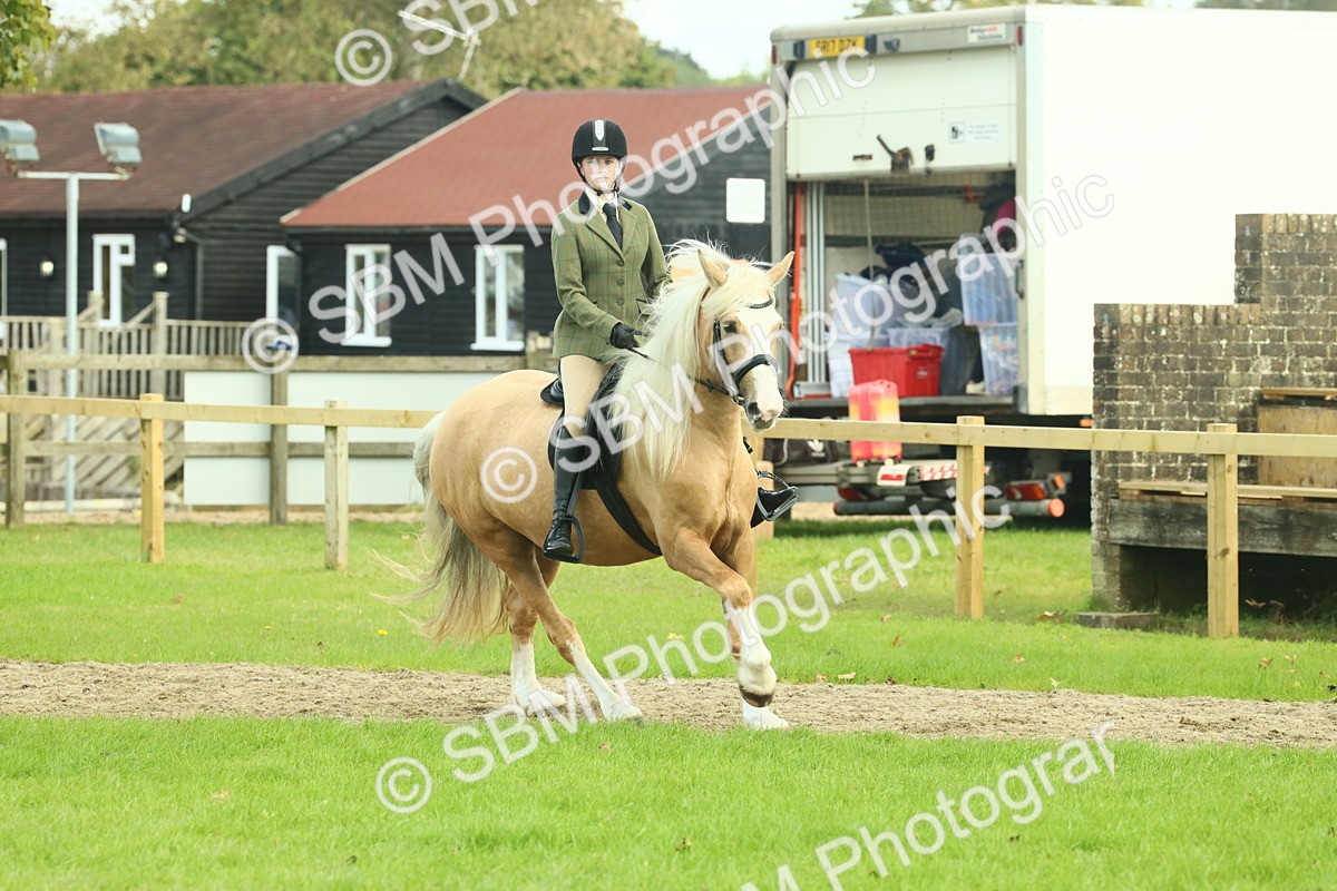 SBM_62659 - S63 - Other Coloured Horse Ridden