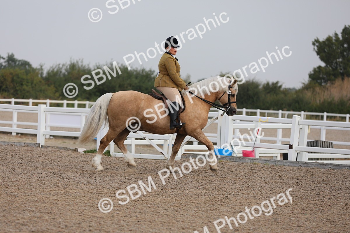 SBM_09991 - Class 302 Ridden M&M -Large Breeds