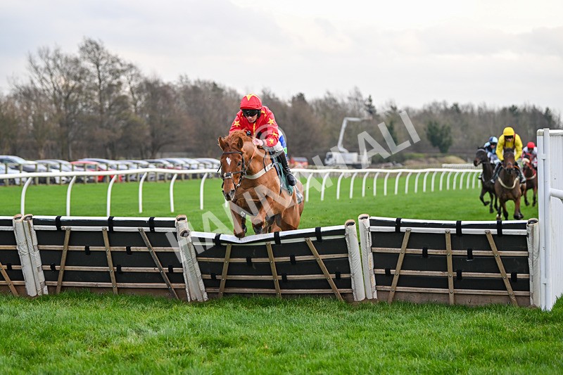 171224-Race 4-Wise Eagle-3278 - Race 4