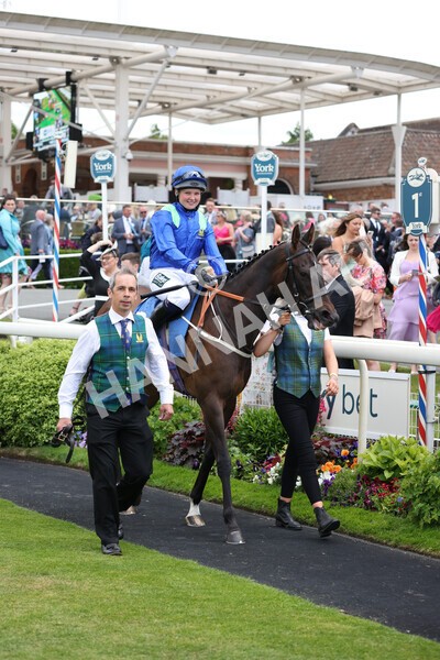 yr11062022r1-131 - Race 1 12.45pm Macmillan Ride of Their Lives, supported by Sky Bet