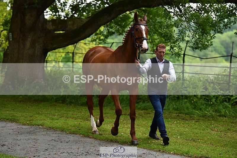 240522-152800-00359 - 357-OUGHTERARD_QUALITY-John_Westmore