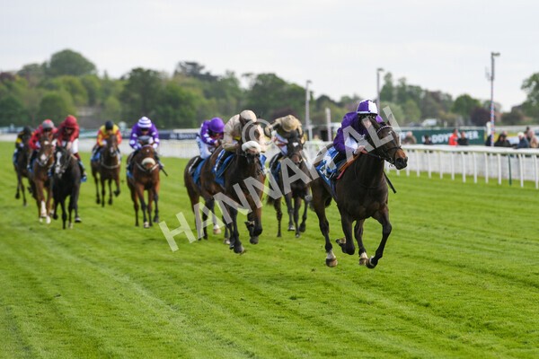 yr12052022r6-16 - Race 6 4.45pm Frank Whittle Partnership EBFstallions.com Maiden Stakes