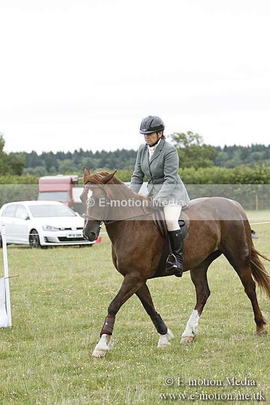 BVR160717-923 - Ring 3 BVRC Show 16/07/17