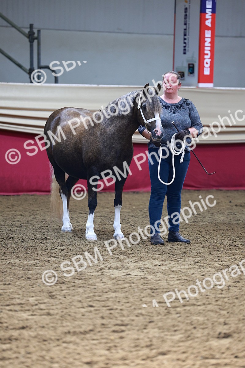 SBM_22209 - Class 902 - Supreme Final - IH Diamond