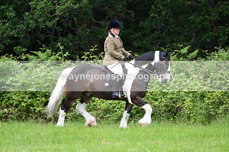 WJ7_2320 - Class 12A Coloured Class