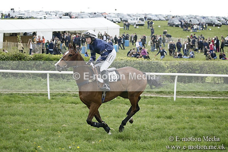 PtP 170417 500 - Old Berks Point-to-Point Lockinge 17/04/17