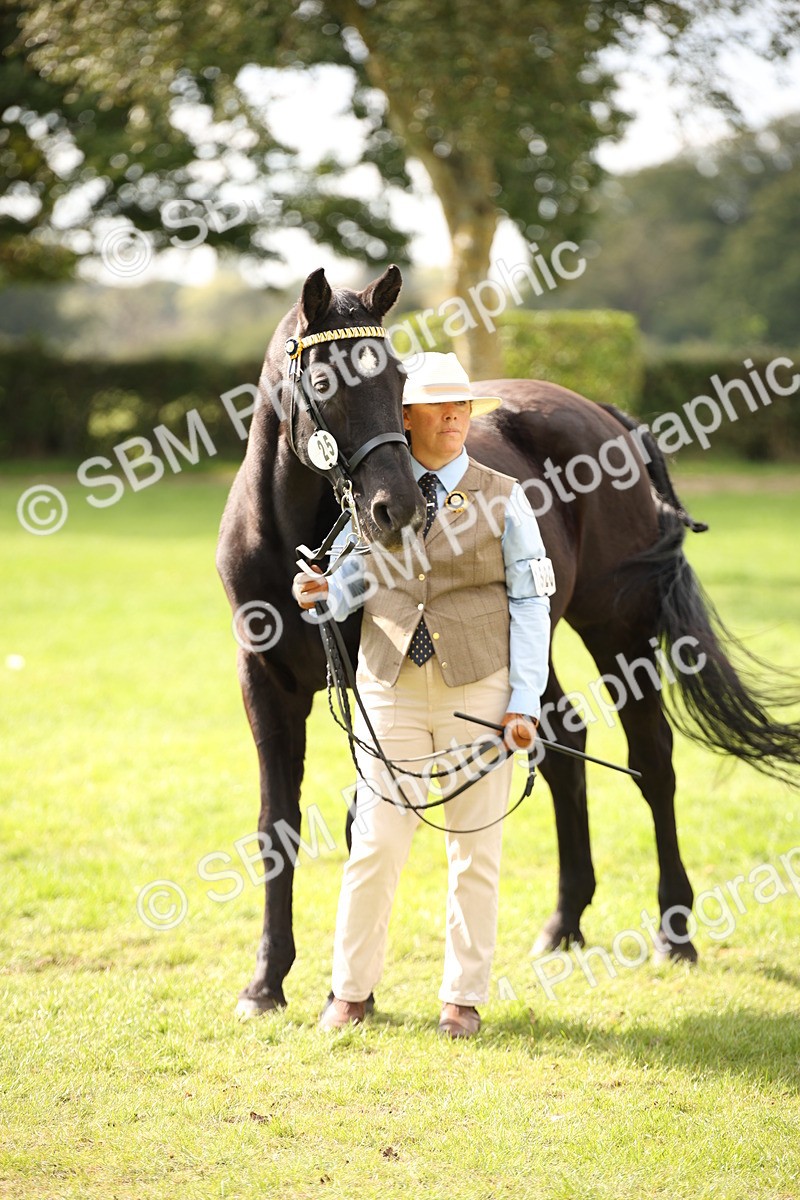 SBM_46413 - S25 - Mature Veteran In Hand