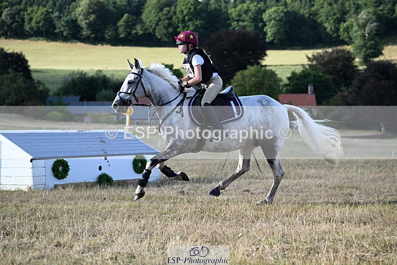 250803A-181401-18643 - R-824-Poppy.Wilkinson-DAISY.DER.BLUME