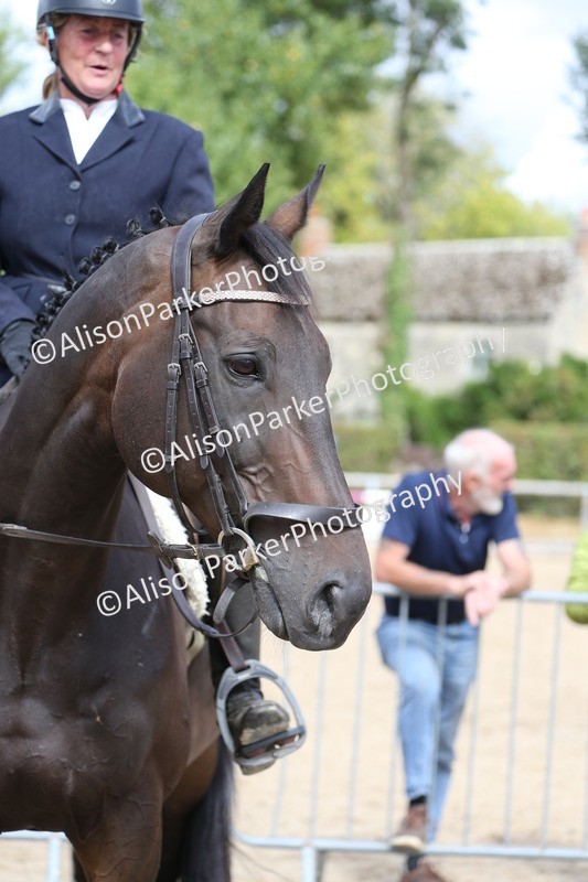 20260831-2661 - Class 15 - Ridden Retraining of Racehorses