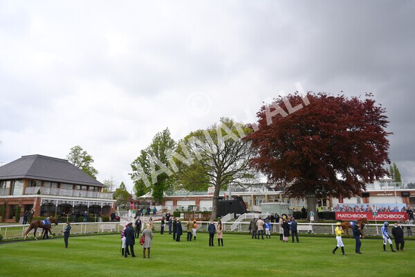 yr14052021r7-4 - Race 7 4.50pm Irish Thoroughbred Marketing Stakes