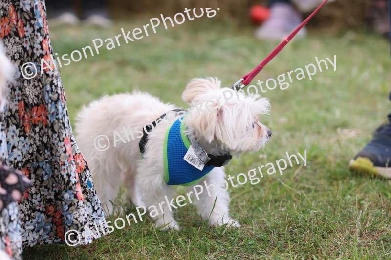 20250607-0114 - Class 2 - Gorgeous Girl