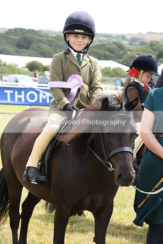 JPP_1995 - Class 18: Tiny Tots Working Hunter Pony