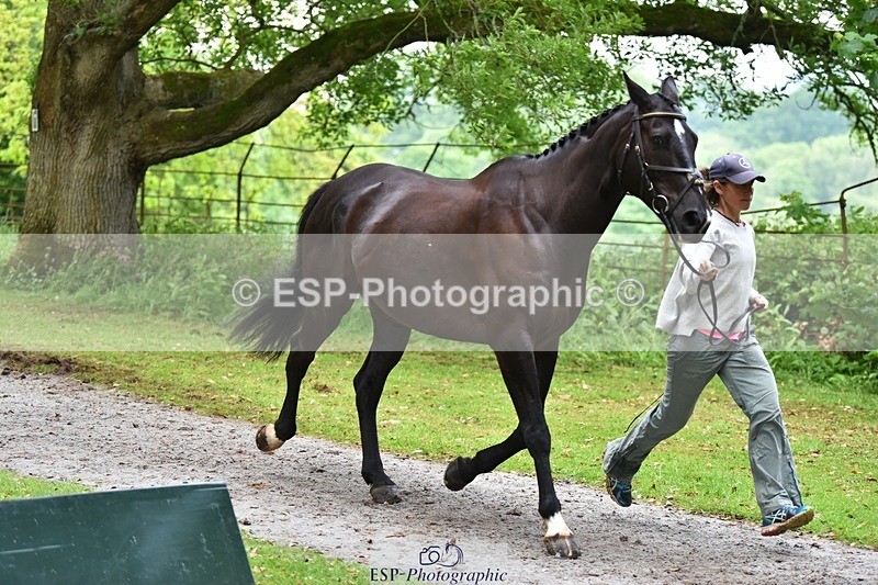 240522-172852-01639 - 290-MISTER_KAI-Hani_Milstein