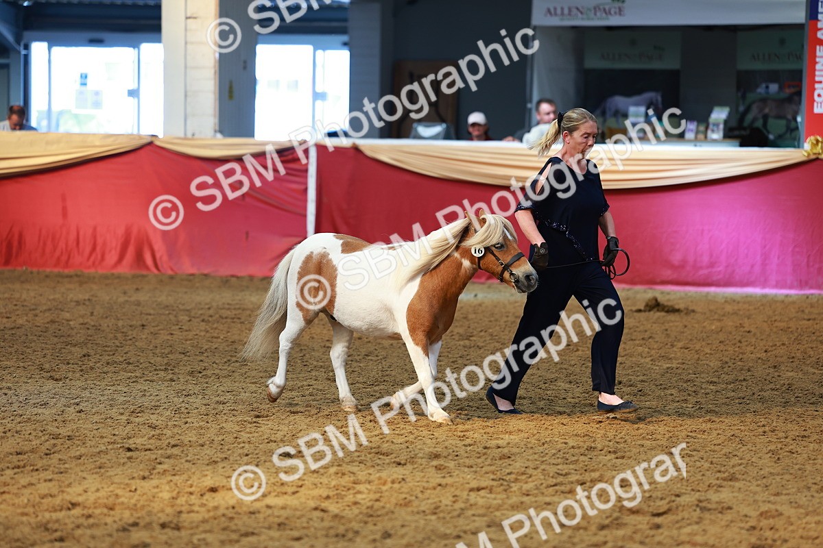 SBM_18505 - Class 903 - Sup Final - IH Pre Vet