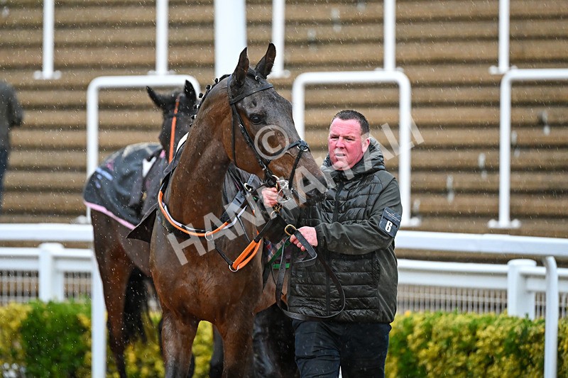 141125-Race 5-Kings Bucks-0704 - Race 5