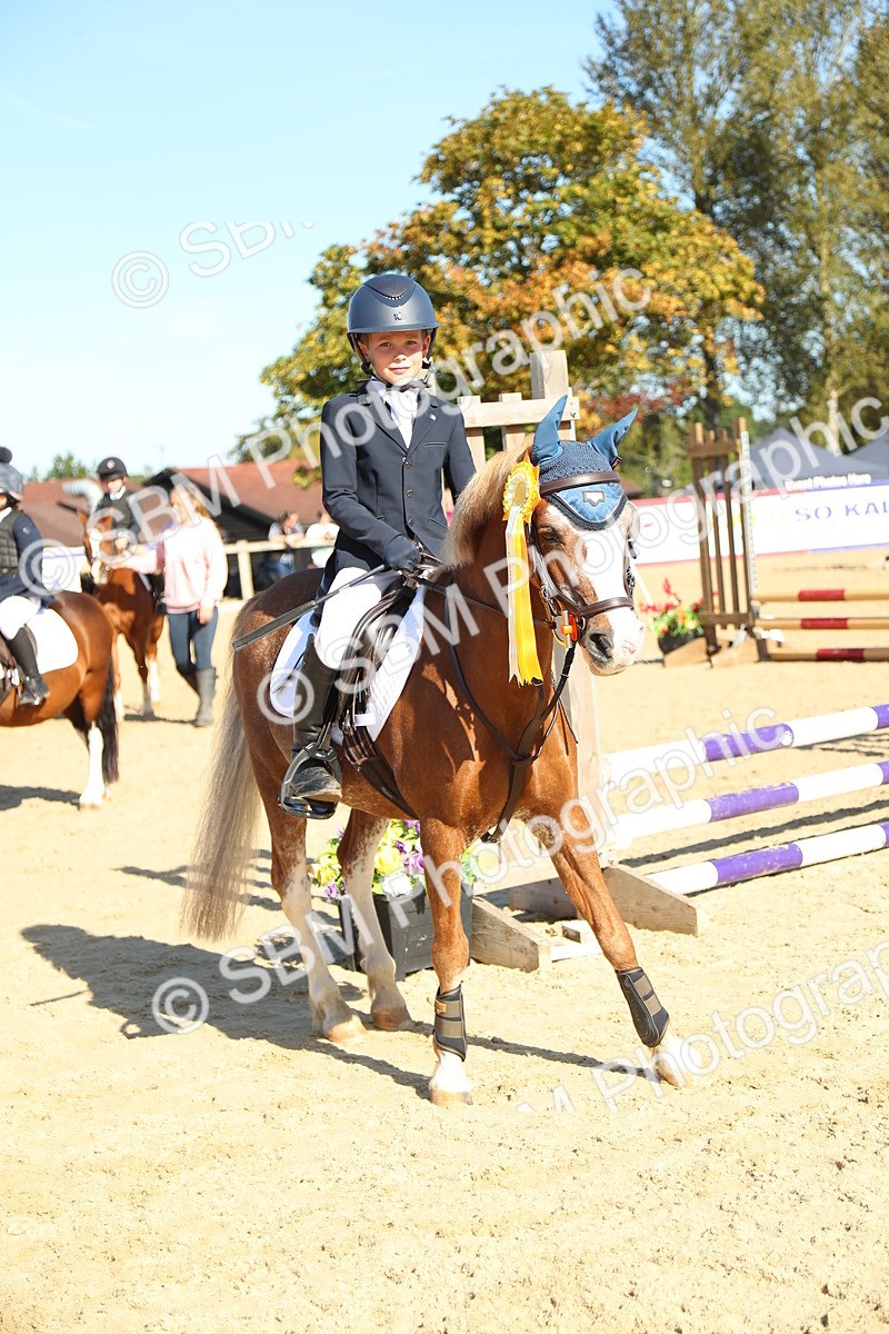 SBM_36031 - J5 - Junior Pony 50cm Championship