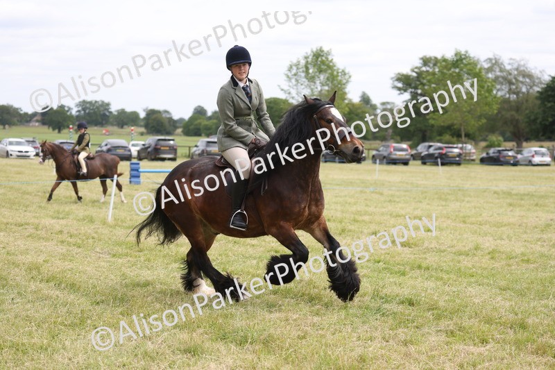 20260614-2947 - Class 22 - Open Working Hunter