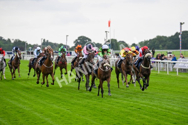 120724-Race 1-Tolstoy-5594 - Race 1 2.05pm William Hill Extra Place Races Daily Handicap