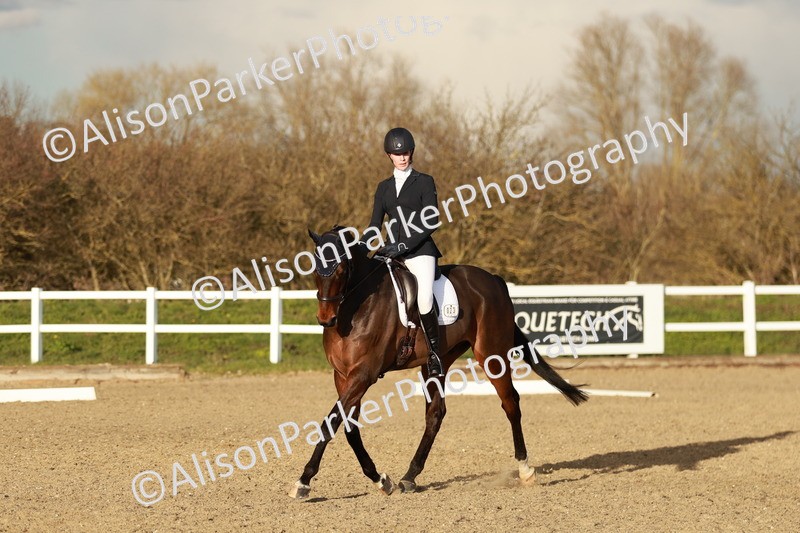 20260314-6356 - CT7 - Elementary 2