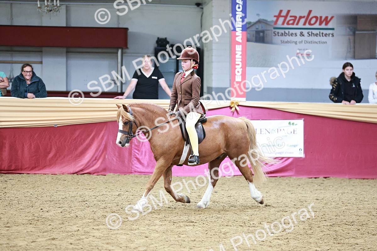 SBM_03577 - Class 6A Area Ridden Pre-Vet