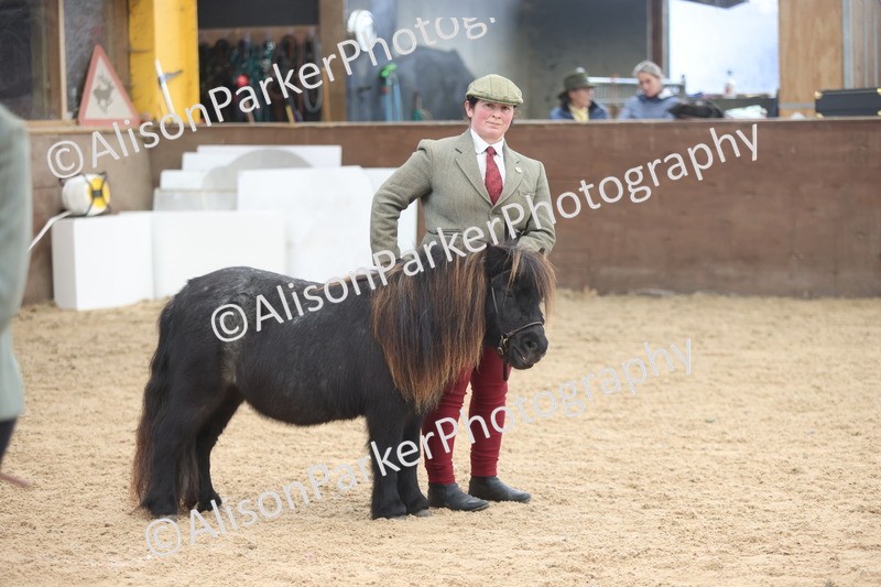 20251109-0234 - Class 11 - 2 and 3 Year Old