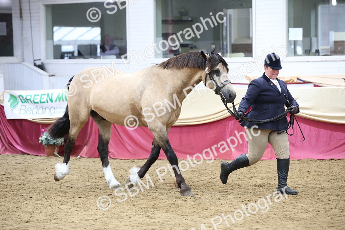 SBM_23671 - class 906 - Supreme Final - Ridden Pre Vet
