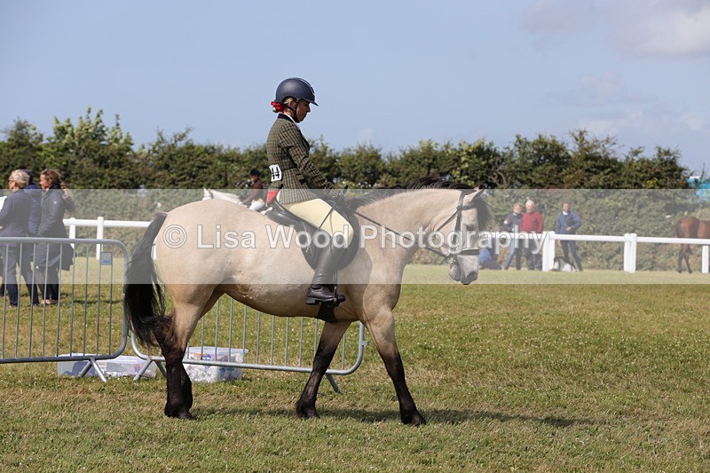1X9A5518 - Class 38: NPS Novice Ridden Small and Large Breeds