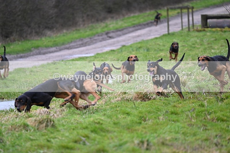WJ6_8194 - Cam B