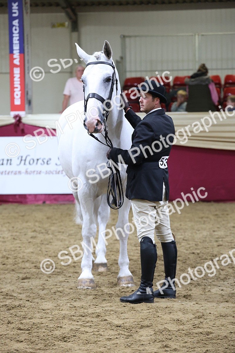 SBM_20529 - Class G - IH Large (over 148cm)Champ