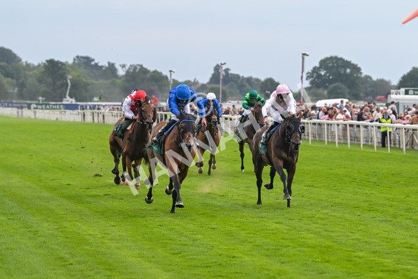 220825-Race 2-Trawlerman-7048 - Race 2 2.25pm Weatherbys Lonsdale Cup Stakes