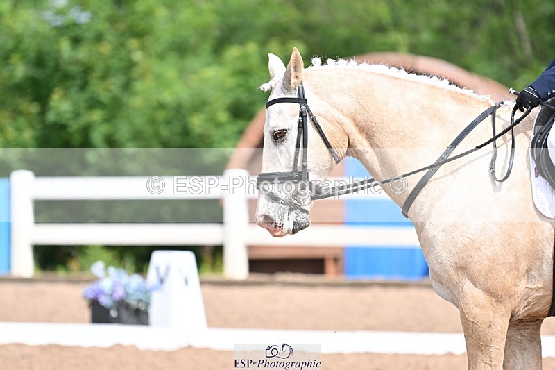 240623A-102207-16488 - Cls 45 BD Prelim 19